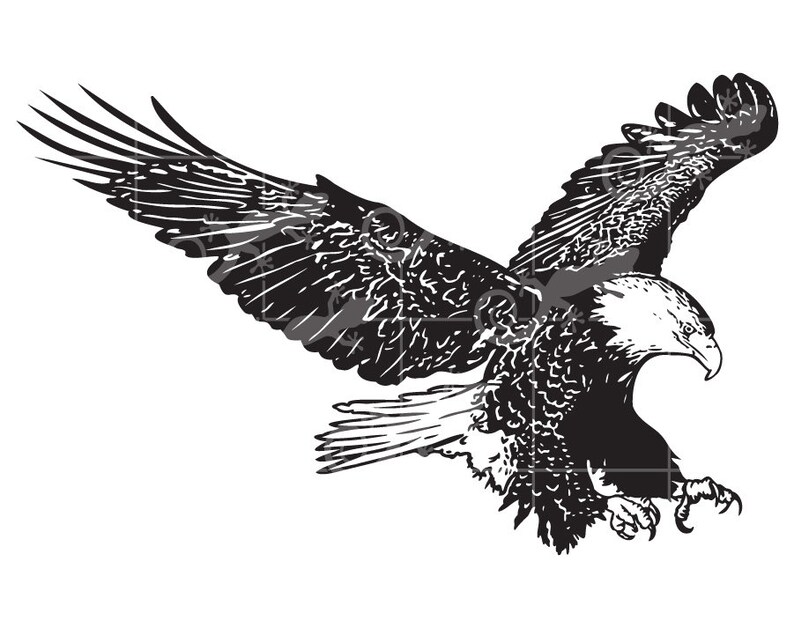 Download Bald Eagle Bird SVG Design. SVG design for Cricuts and | Etsy