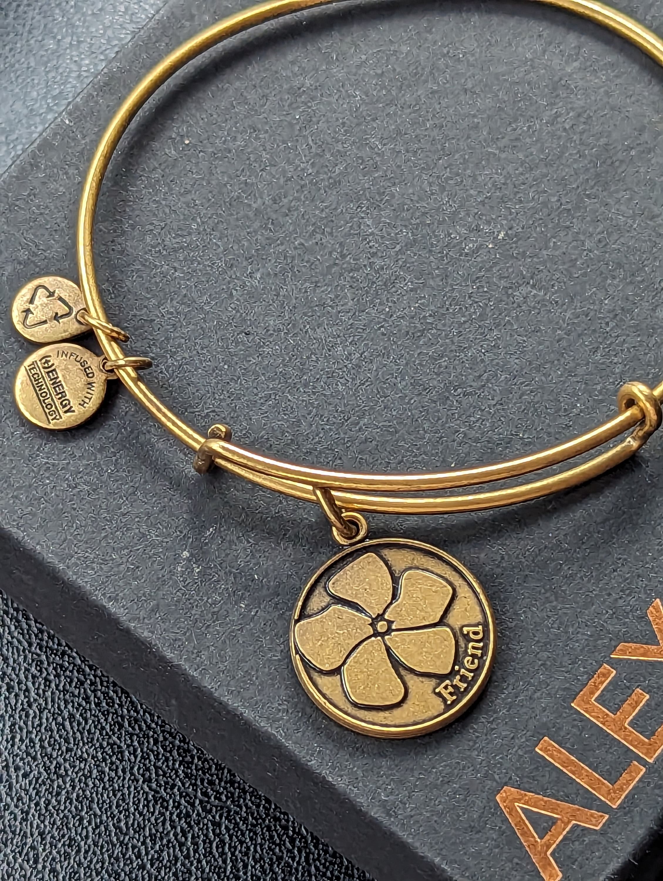 Retired Alex Ani 2013 Friend Energy Charm Bracelet Etsy