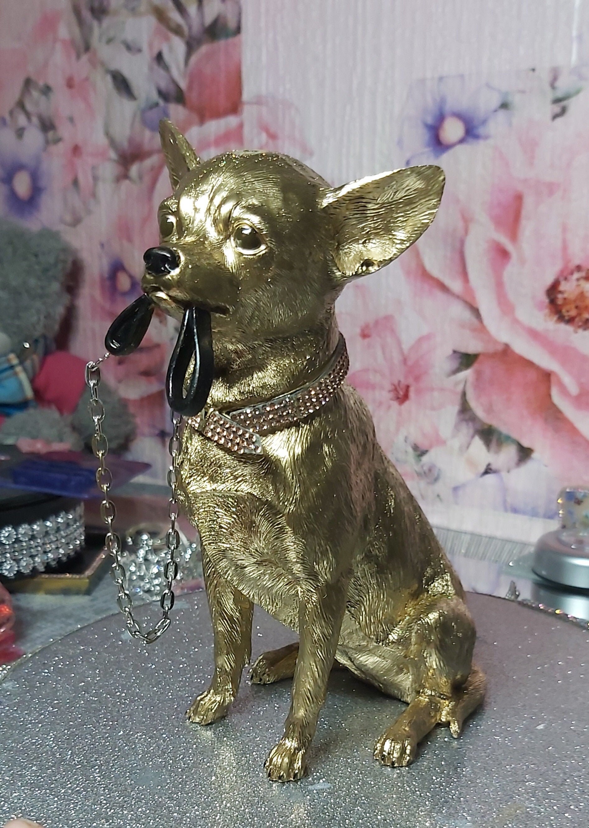 Gold chihuahua hotsell