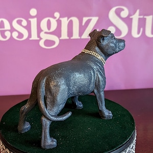 Staffordshire bull terrier blue coat dog statue, bespoke designer Staffie statue. Memorial staffie statue. Range of collars. Name tag option