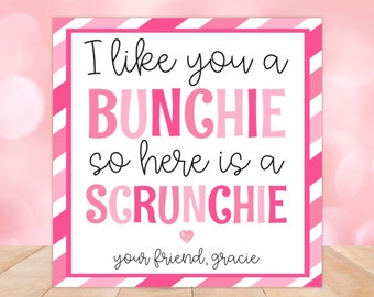 Scrunchie Valentine Card, Scrunchie Valentine Printable, Hair Scrunchie Tag, Scrunchie Tag Printable, Hair Scrunchie Tag Templates