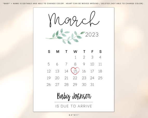 March Due Date Calendar Printable, Baby Pregnancy Announcement, Printable Pregnancy  Announcement, New Baby Reveal, Digital Photo Prop, PDF - Etsy