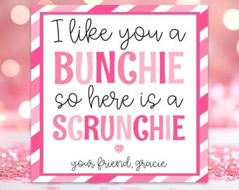 Scrunchie Valentine Card, Scrunchie Valentine Printable, Hair Scrunchie Tag, Scrunchie Tag Printable, Hair Scrunchie Tag Templates