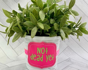 Not dead yet planter band ith embroidery design DIGITAL DOWNLOAD Maschinenstickerei