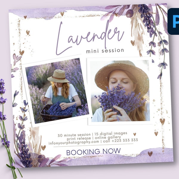 Lavender Mini Session Photography Template, Marketing Board, Lavender Field Minis, Template For Photographers, Lavender Marketing Template