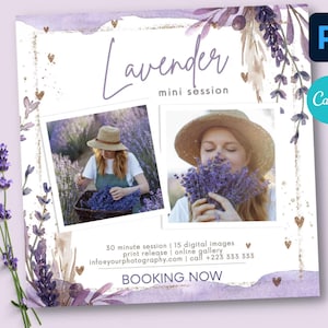 Lavender Mini Session Photography Template, Marketing Board, Lavender Field Minis, Template For Photographers, Lavender Marketing Template