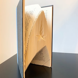 May include: A book with pages folded into a three-dimensional shape, creating a design that resembles the Star Trek Starship Enterprise. The book is closed and standing upright on a black surface.