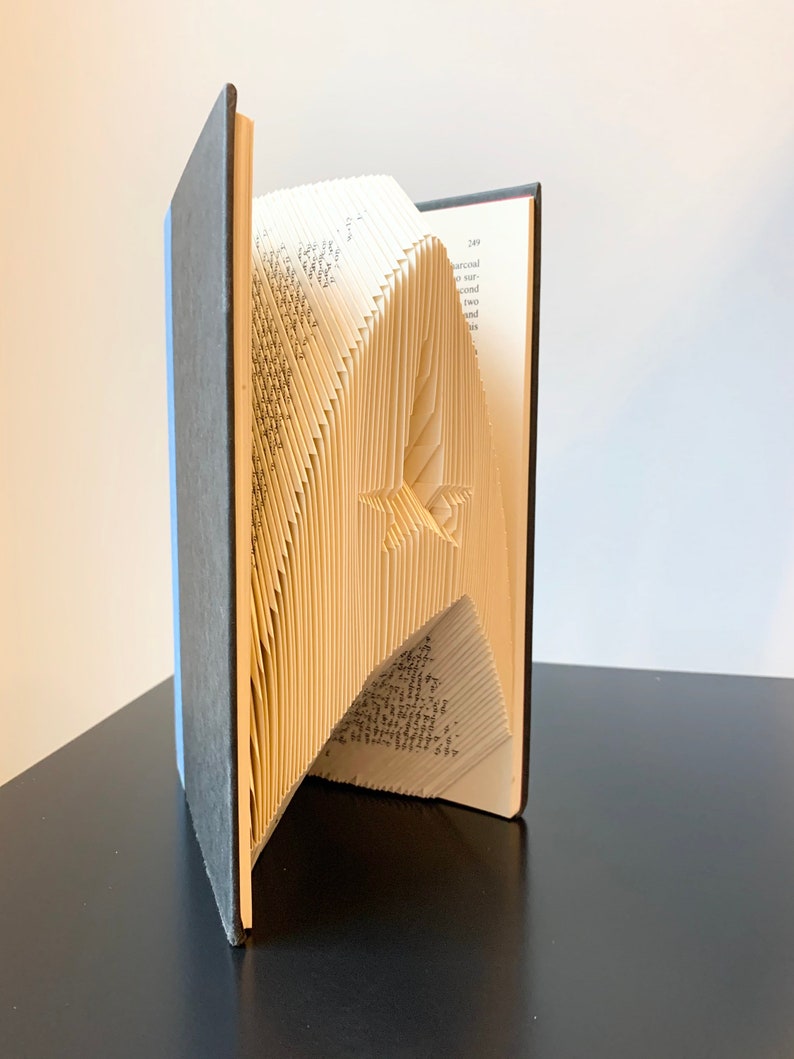 May include: A book with pages folded into a three-dimensional shape, creating a design that resembles the Star Trek Starship Enterprise. The book is closed and standing upright on a black surface.