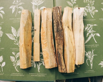 Puede incluir: Una colección de palos de madera de palo santo de color marrón claro dispuestos sobre un libro de ilustraciones botánicas verdes. Las piezas de madera varían en tamaño y tienen un aspecto natural y texturado. El libro presenta dibujos detallados de plantas.