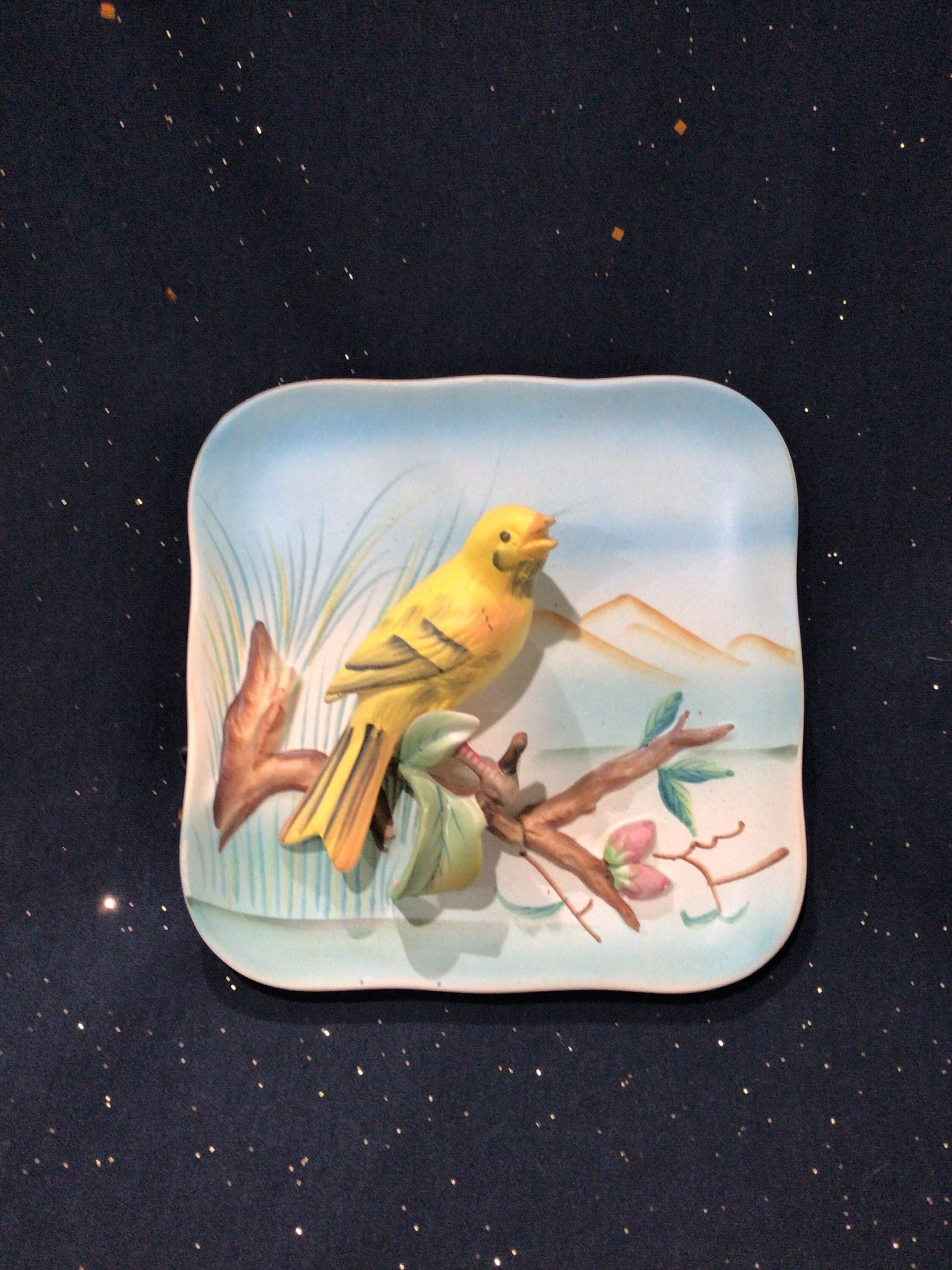 Vintage Hand Painted Embossed 3D Bird-napco Ceramic Pottery Wall