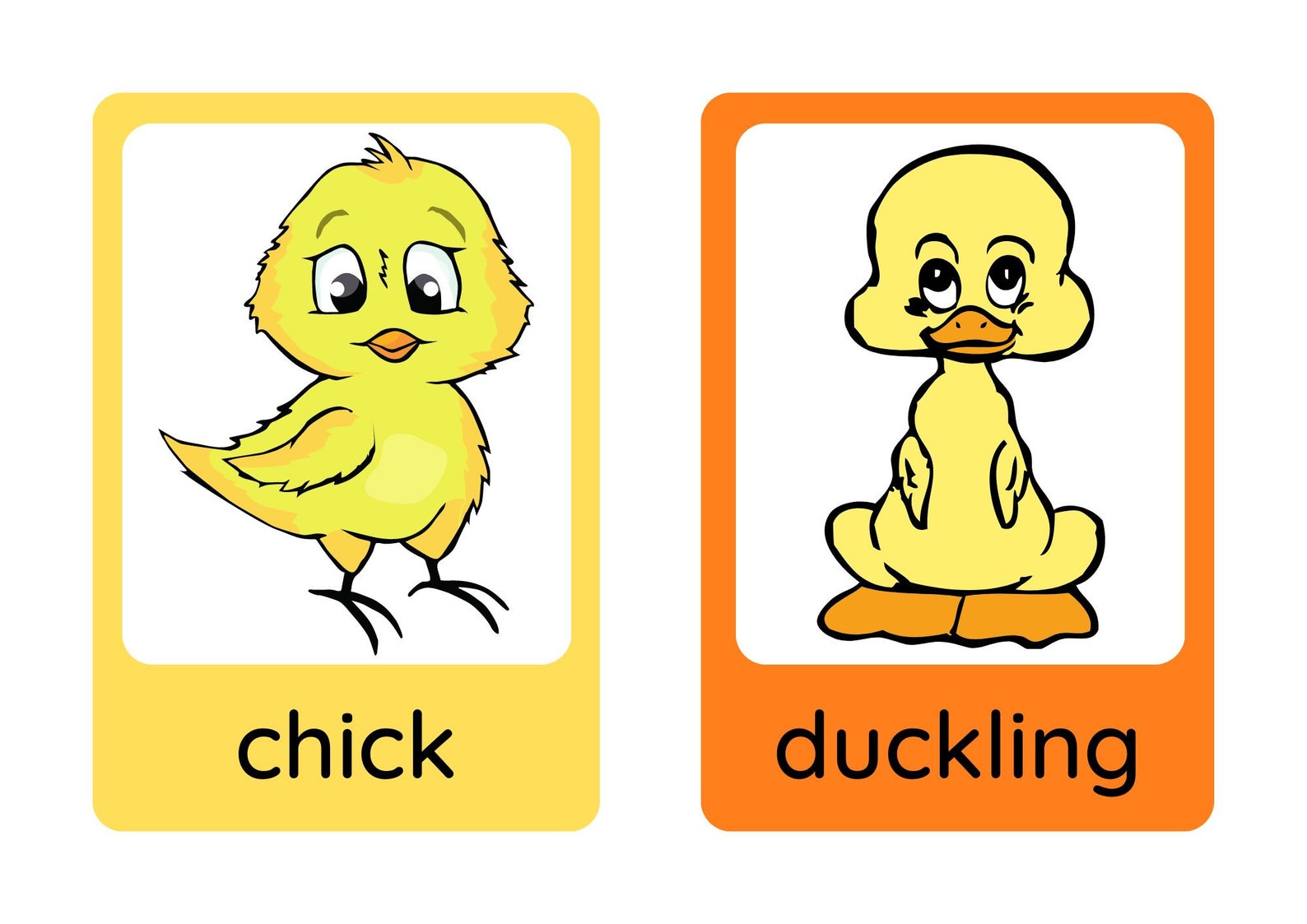 Printable Farm Animals Flashcards. Printable Colorful Animals Etsy