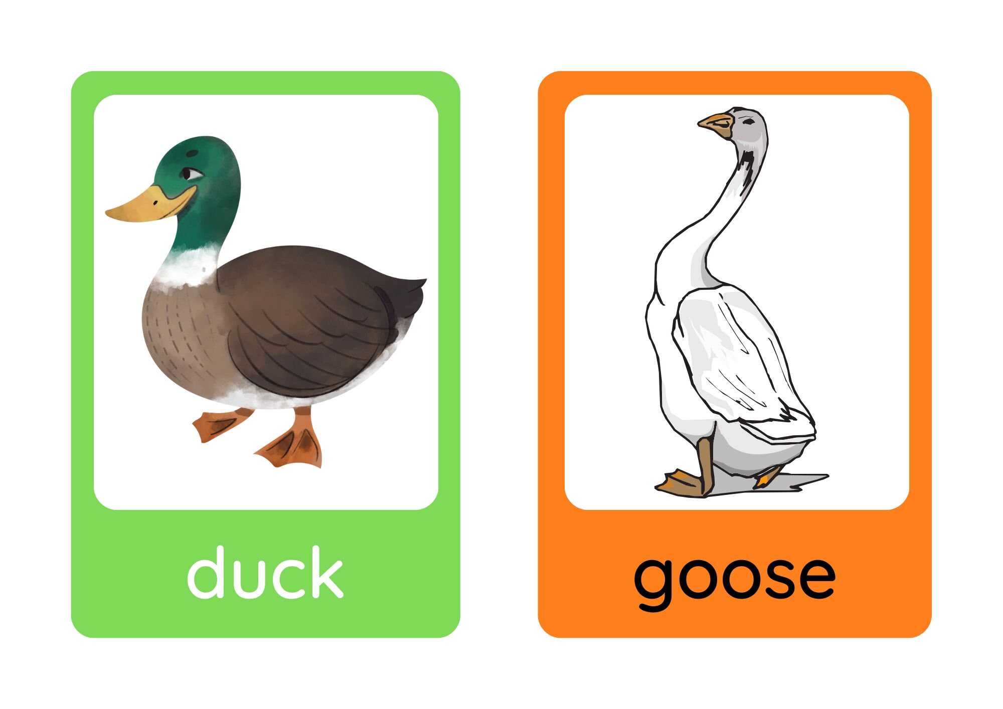 Printable Farm Animals Flashcards. Printable Colorful Animals Etsy