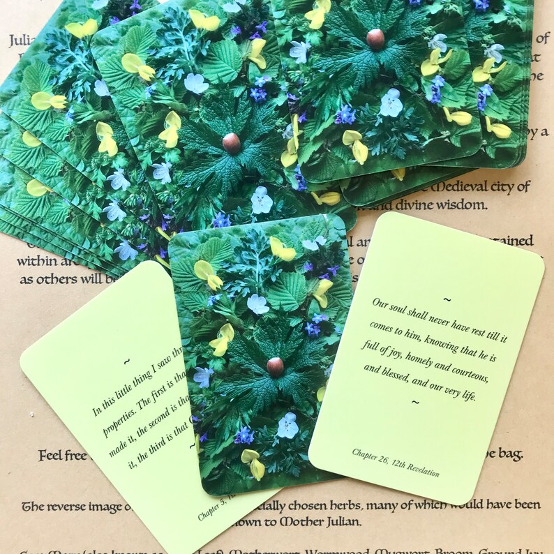 Julian of Norwich Meditation Cards: Botanical Art, All Shall Be Well Deck bild 6