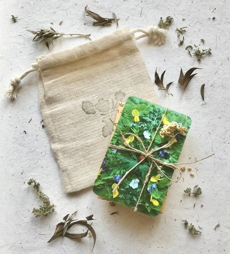 Julian of Norwich Meditation Cards: Botanical Art, All Shall Be Well Deck bild 4