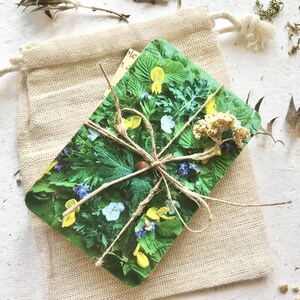 Julian of Norwich Meditation Cards: Botanical Art, All Shall Be Well Deck bild 8