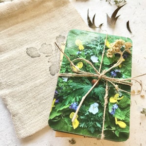 Julian of Norwich Meditation Cards: Botanical Art, All Shall Be Well Deck bild 5
