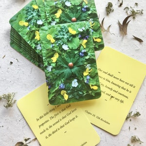 Julian of Norwich Meditation Cards: Botanical Art, All Shall Be Well Deck bild 2
