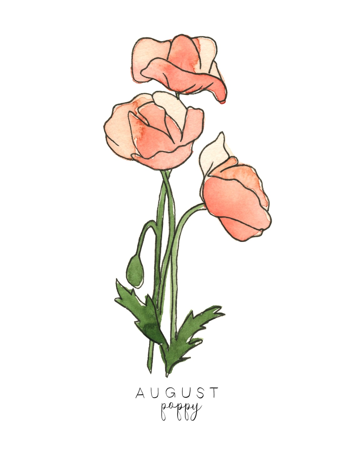 August Birth Flower Print August Birth Month Flower Poppy Etsy