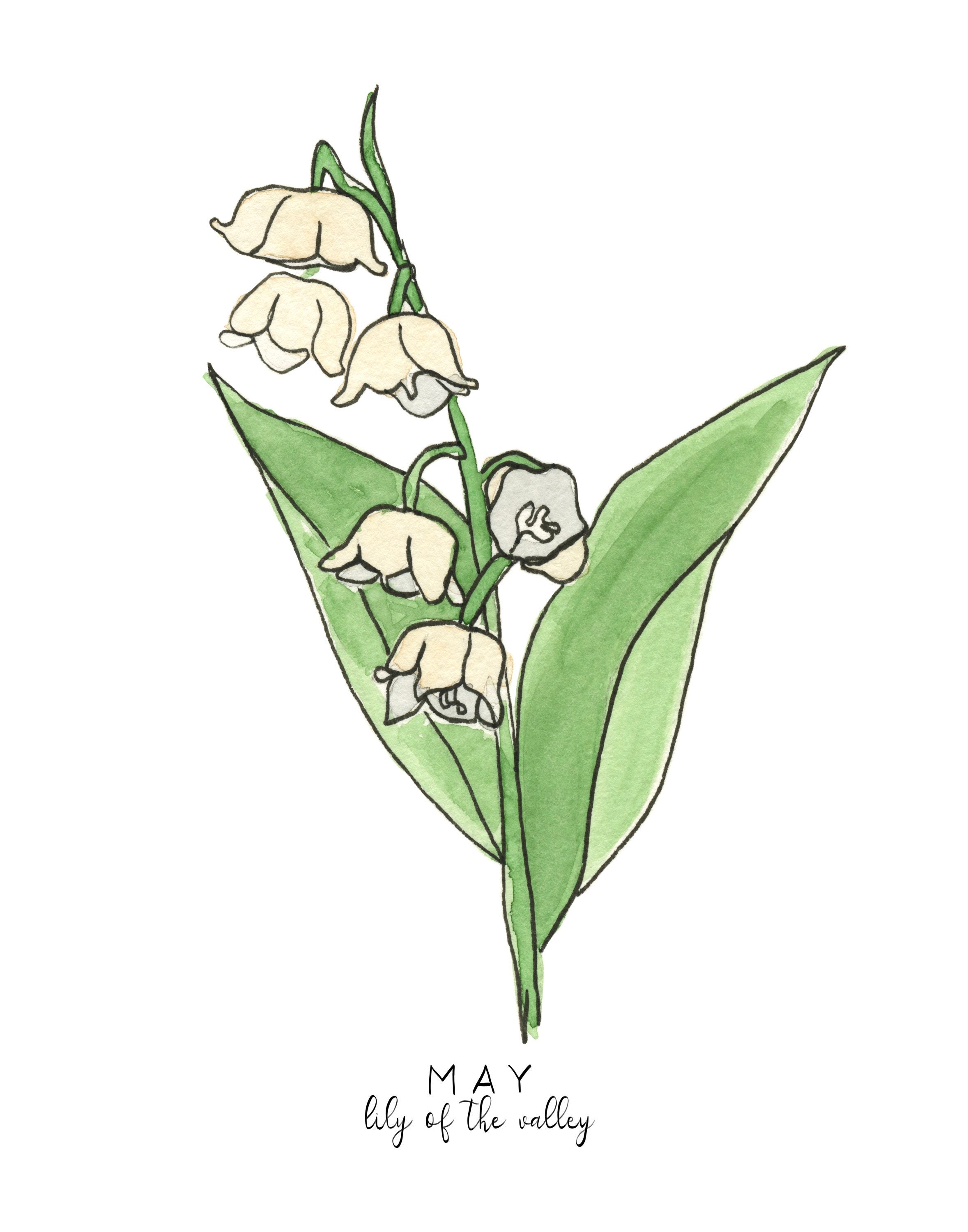 May Birth Flower Print, May Birth Month Flower,lily Flower Print, Lily of the Valley Print, Lily