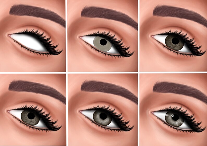 Iris brushes procreate Eyes brushes Procreate brushes Etsy