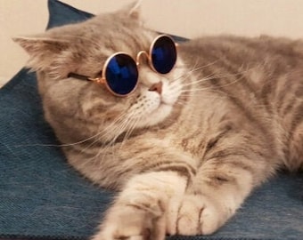 Haustierfotos für Cosplay-Brille bqlove niedliche und lustige Haustier-Sonnenbrille Requisiten für Kleine Hunde und Katzen