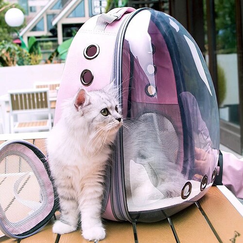 cat backpack clear