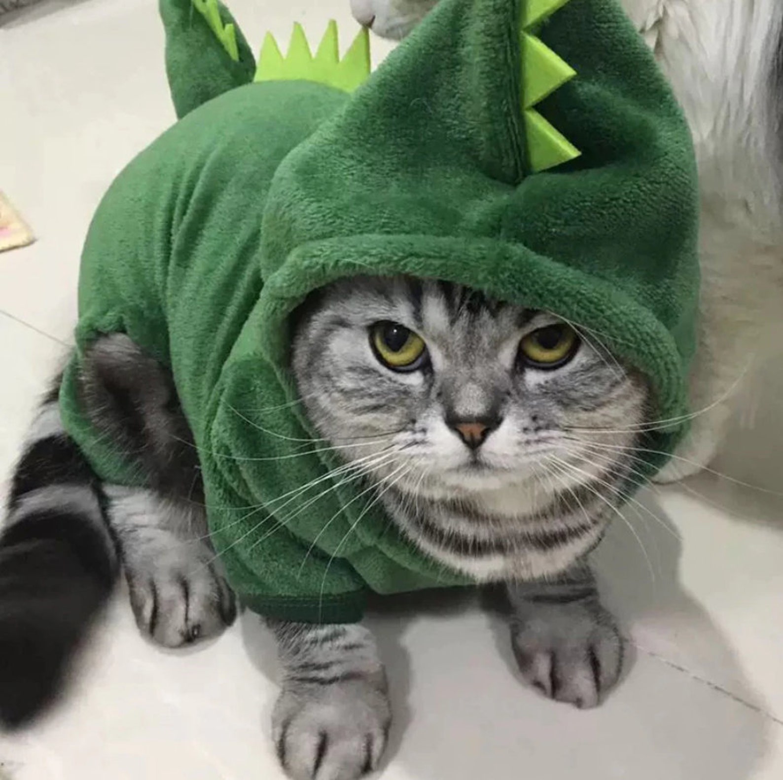 Cute DINOSAUR COSTUME for Cats Dress up for Cat Cat Shirt Etsy