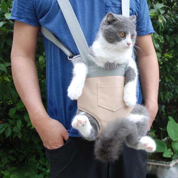 comfy cat carrier