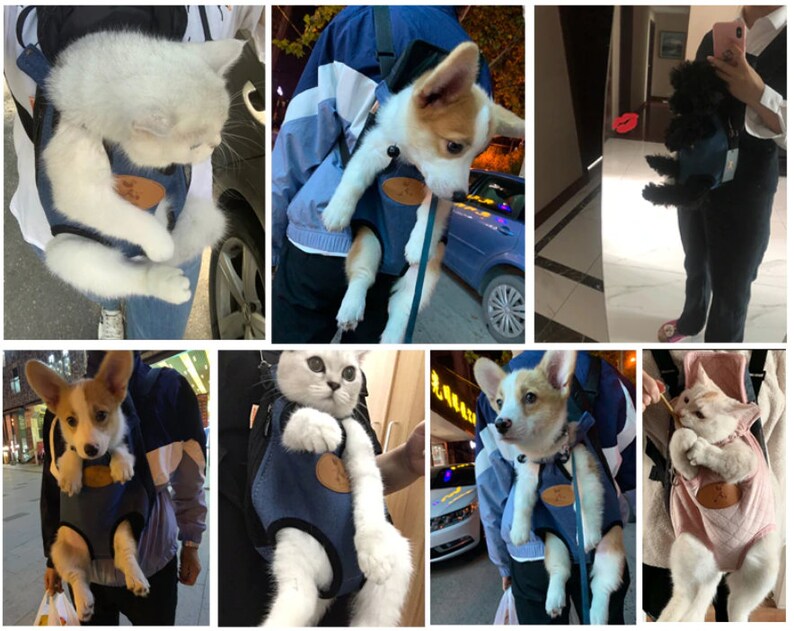 Cute Cat Carrier Harness COMFY SAFE & FUN Alternative Cat Etsy