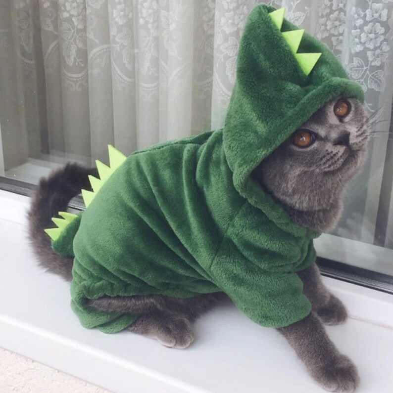 Cute DINOSAUR COSTUME for Cats  Dress up for Cat  Cat Shirt image 3