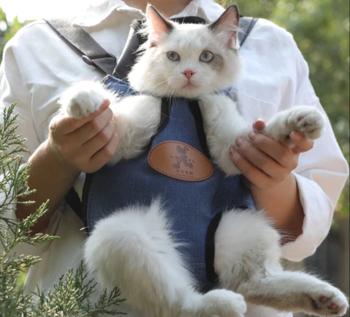 Cute Cat Carrier Harness COMFY SAFE & FUN Alternative Cat Etsy