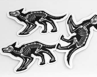 Skeletal Dog Stickers by Avery Multer