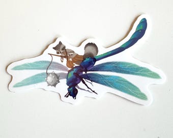 BANDIT RACCOON laptop sticker