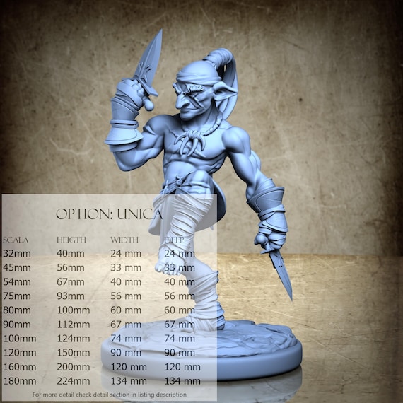 Asharan The Pit Fighter - by Ronin Art Workshop Resin Miniatures - DnD, RPG, Wargaming and Coloring Display - The Unbroken