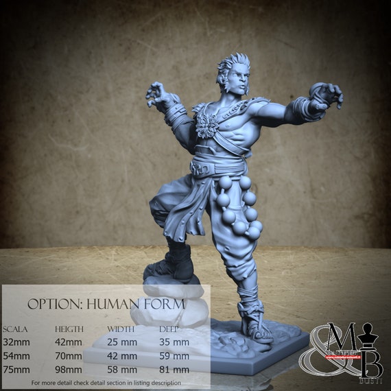 Dewan the monk, M17 (2 Styles), by Ronin Art Workshop, miniature to assemble and paint, resin