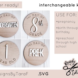 SVG interchangeable monthly milestone, DIY, glowforge, commercial cut file, digital download, laser ready