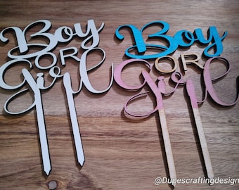 Cake topper/boy or girl/gender reveal/baby shower/