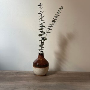 May include: A ceramic vase with a brown and cream color scheme, holding two sprigs of eucalyptus. The vase has a rounded shape with a narrow neck. The eucalyptus branches are green and add a natural element to the composition.