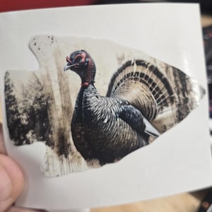 May include: A sticker featuring a detailed illustration of a wild turkey. The turkey has a red head and neck, with a body of gray and black feathers. The background is a sepia-toned image of a forest, and the sticker is shaped like an arrowhead.