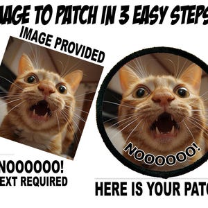 May include: An orange tabby cat with wide eyes and an open mouth is featured in a patch design. The patch is round with a black border and the word "NOOOOOO!" in a white font. Text above the image reads "IMAGE TO PATCH IN 3 EASY STEPS!!".