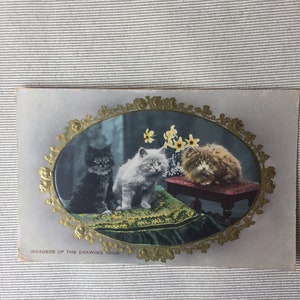 Antigua postal de gatos
