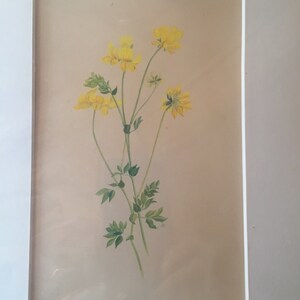 Watercolor painting