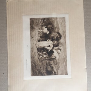 May include: A black and white photo of a young girl standing with a lion and other animals. The girl is holding a palm frond in her right hand. The photo is titled "Peace" and is signed by the artist.
