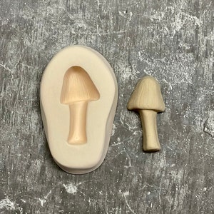 Tawny Grisette Mushroom