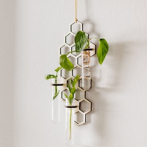 Honeycomb Wall Propagation Station - Three Sizes to Choose From - Plant Lover Gifts