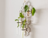Large Hanging Propagation Station, Wall Propagation Station, Bud Vase, Plant Propagation, Plant Accessories, Gifts for Plant Lovers,
