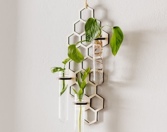 Honeycomb Wall Propagation Station - Three Sizes to Choose From - Plant Lover Gifts