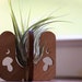 see more listings in the Air Plant Holders section