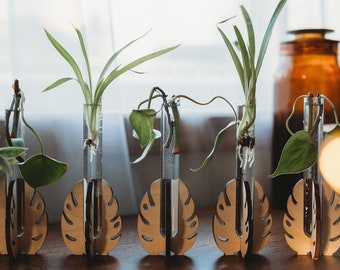 Tabletop Propagation Station - Choose Your Wood Color - Gifts for Plant Lovers