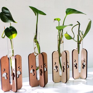 Mushroom Propagation Station Bundle & Save, Choose your wood stain Gifts for Plant Lovers image 2